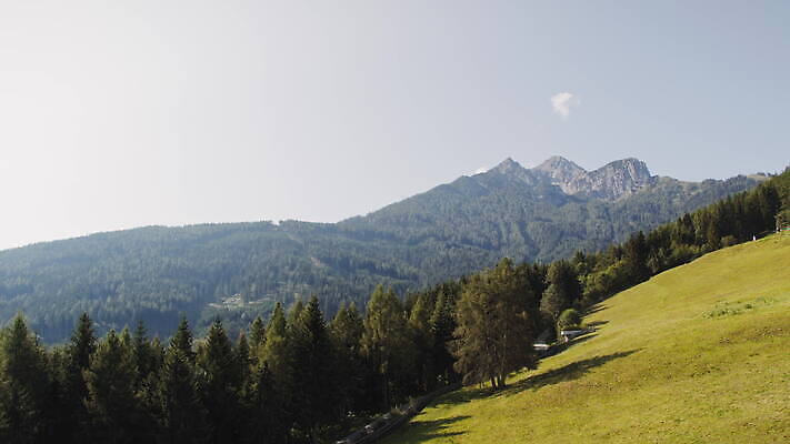 나무 공원 여행 자연 휴가 산 사람없음 야외 파란색 환경 계곡 맑음 등산 트래킹 하이킹 탐험 황무지 오스트리아 정상 고도 언덕 산등성이 오르기 알프스 지형 전국 절정 지질학 4K MOV 해외동영상 클립영상 식물 공공시설 교육 유럽 컬러 모션 레저 날씨 생태계 동영상 파일형식