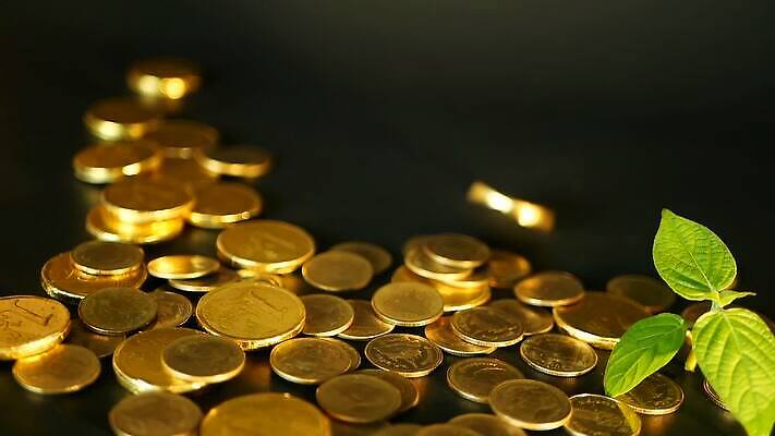 도로 길 컨셉 잎 돈 곡선 비즈니스 사람없음 초록색 금융 빛 달러 금속 동전 거래 저축 수확 성장 시장 재산 황금 주식 오솔길 은퇴 수집 심볼 투자 이익 가치 보물 진행 고립 관심 방법 센트 MOV 해외동영상 클립영상 식물 선 컬러 농업 교통시설 재질 경제 동영상 파일형식