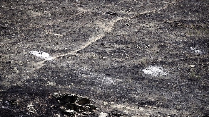 여행 컨셉 자연 불 날씨 불꽃 산 사람 사람없음 야외 가로 환경 검은색 손상 성장 죽음 뜨거움 연기 보호 결과 숲 사건 브라질 기후변화 땅바닥 벌거벗은 재 재앙 파멸 화상 부족함 4K MP4 해외동영상 클립영상 자연요소 컬러 바닥 남아메리카 변화 상처 생태계 동영상 파일형식 소멸