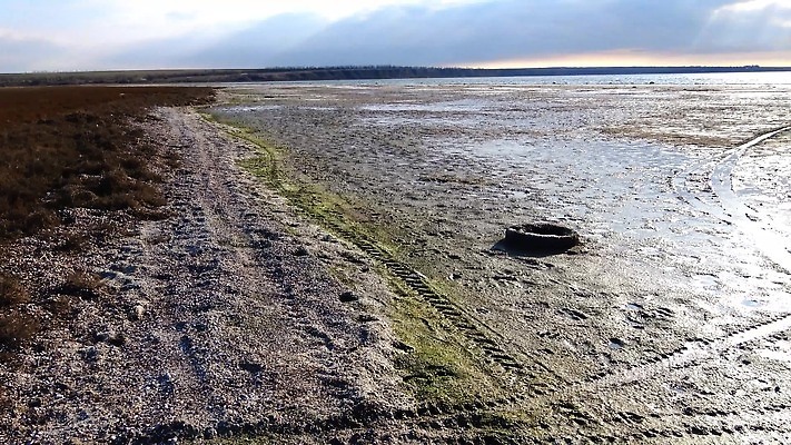 호수 야생동물 바다 자연 조류 생물 사람없음 물 환경 수중 젖음 지중해 생태계 생물학 진흙 생태학 우크라이나 4K 저서생물 MP4 해외동영상 클립영상 자연요소 동물 교육 유럽 동영상 파일형식