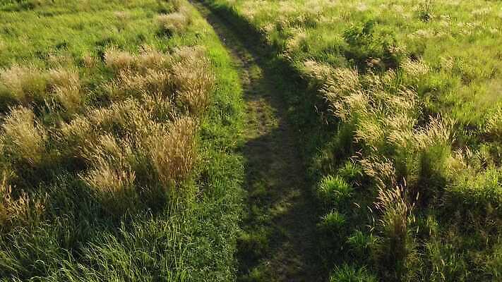 도로 여행 밭 농업 자연 파노라마 풍경 잔디 초원 사람없음 야외 여름 햇빛 농장 농경지 우주 맑음 봄 자유 시골 고속도로 땅 내추럴 방법 4K MOV 해외동영상 클립영상 식물 계절 산업 길 컨셉 교통시설 날씨 촬영기법 태양 생태계 동영상 파일형식