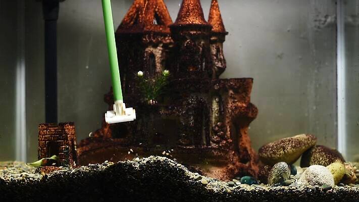 벽 유리 실내 사람없음 공구 해조류 빨래 청소 수족관 돌봄 명패 특별함 비어있는 MP4 해외동영상 클립영상 컨셉 가사 모션 재질 내부 도구 해양식물 동영상 파일형식