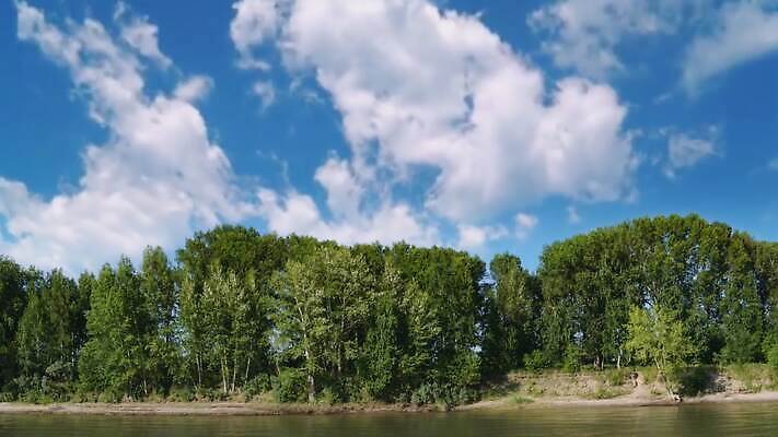 나무 계절 여행 자연 하늘 사람없음 초록색 강 4K MOV 해외동영상 클립영상 식물 컬러 생태계 동영상 파일형식