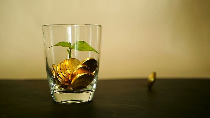 나무 식물 백그라운드 컨셉 잎 돈 비즈니스 모션 유리 성공 미래 잔 사람없음 컵 초록색 금융 경제 노란색 동전 검은색 저축 성장 항아리 재산 황금 구부린 가격 컨테이너 은퇴 회전 투자 이익 가치 회계 대출 고립 수입 연금 MOV 해외동영상 슬로모션 클립영상 식기 산업 컬러 재질 촬영기법 도자기 동영상 파일형식