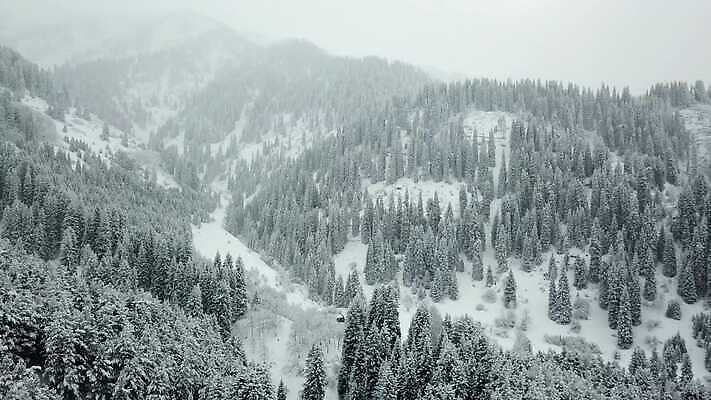 나무 도로 여행 백그라운드 크리스마스 겨울 자국 자연 날씨 새해 산 안테나 사람없음 야외 냉동 추위 안개 흰색 나뭇가지 소나무 정상 숲 언덕 서리 전나무 흐림 눈보라 항공촬영 드론 제설기 카자흐스탄 눈내림 가문비나무 4K 알마티 MP4 해외동영상 클립영상 식물 계절 기념일 아시아 길 뷰포인트 컬러 통신 교통시설 눈_날씨 생태계 동영상 제설 파일형식