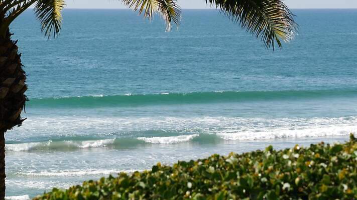 파도 바다 조류 표면 리조트 휴가 사람없음 물 여름 파란색 야자수 뷰티 맑음 미국 거품 캘리포니아 주말 태평양 이국적 터키석 파라다이스 수평선 4K 오션사이드 산타모니카 MP4 해외동영상 클립영상 자연요소 나무 동물 계절 컬러 북아메리카 날씨 보석 동영상 파일형식