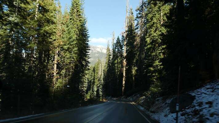 나무 도로 여행 곡선 자동차 유리 항해 국립공원 풍경 사람없음 노란색 여행객 미국 운전 자유 소나무 고속도로 숲 큼 아스팔트 캘리포니아 북쪽 침엽수 삼림지대 요세미티국립공원 자동 1인칭시점 4K MP4 해외동영상 클립영상 식물 시선 공원 길 선 육상교통 컬러 컨셉 북아메리카 교통시설 모션 재질 사람 배 크기 방향 동영상 선박 파일형식