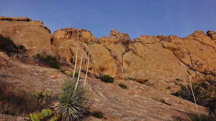 식물 공원 도로 선 여행 자연 산 선인장 건조 풍경 사람없음 파란색 골짜기 계곡 미국 운전 사막 바위 보호 사인 파이프 먼지 사암 애리조나 천연기념물 전국 4K MP4 해외동영상 클립영상 공공시설 길 컬러 컨셉 북아메리카 교통시설 모션 돌_바위 생태계 동영상 파일형식