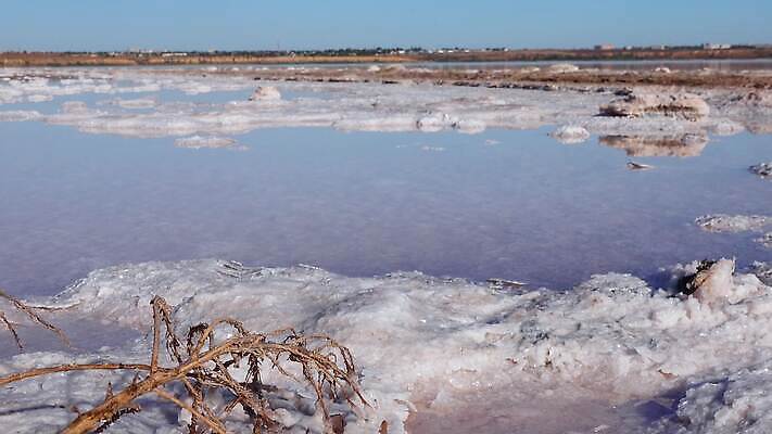 호수 바다 백그라운드 자연 사람없음 야외 물 흰색 약초 크리스탈 휴양지 진흙 결정체 지구온난화 내추럴 우크라이나 짠맛 오데사 4K MP4 해외동영상 클립영상 자연요소 유럽 컬러 장소 풀_식물 맛 광석 생태계 동영상 기후변화 파일형식