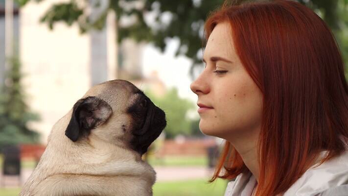 동물 1 라이프스타일 공원 여자 행복 얼굴 새끼 통신 자연 놀이 휴식 함께함 사랑 한명 미소 웃음 사람 야외 초록색 여름 반려동물 맑음 우정 잡기 닫기 개 강아지 핥기 작음 주인 송곳니 기르기 돌봄 4K 순혈 MOV 해외동영상 클립영상 계절 공공시설 감정 컬러 컨셉 포유류 모션 날씨 표정 생활 신체부위 친구 치아 크기 생태계 동영상 파일형식