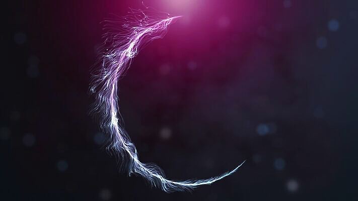 모양 디자인 선 컬러 과학 백그라운드 컨셉 패턴 곡선 비즈니스 모션 추상 미래 사람없음 금융 컴퓨터 컬러풀 글로벌 뷰티 숫자 3D 우주 디지털 검은색 자료 어둠 흰색 망 원형 네트워크 변화 연결 사이버 생물학 원자 지역 애니메이션 마디 엘리먼트 인터페이스 코딩 효과 인트로 MOV 해외동영상 클립영상 도형 문자 교육 무늬 경제 전자제품 디지털합성 동영상 컴퓨터교육 파일형식