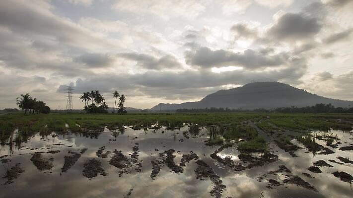 도로 길 여행 백그라운드 밭 자연 하늘 풍경 사람없음 야외 물 파란색 어둠 손상 젖음 가을 시골 땅 바퀴자국 먼지 장면 진흙 깊이 땅바닥 방법 선로 스텝 옛날 오프로드 수평선 4K 타임랩스 MP4 해외동영상 클립영상 자연요소 계절 컬러 컨셉 농업 교통시설 자국 바닥 촬영기법 생태계 동영상 파일형식