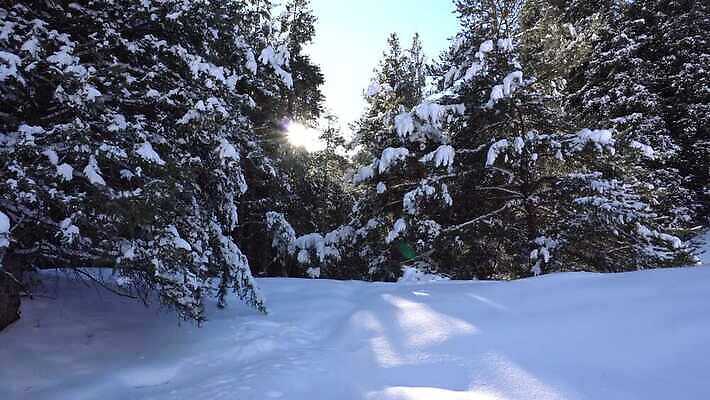 나무 계절 여행 백그라운드 크리스마스 겨울 자연 날씨 산 파노라마 그림자 사람없음 야외 목재 태양 냉동 얼음 추위 광선 흰색 소나무 정상 숲 휴양지 서리 장면 전나무 항공촬영 절정 카자흐스탄 눈내림 가문비나무 4K MP4 해외동영상 클립영상 자연요소 식물 기념일 아시아 뷰포인트 컬러 재료 눈_날씨 촬영기법 장소 생태계 동영상 파일형식