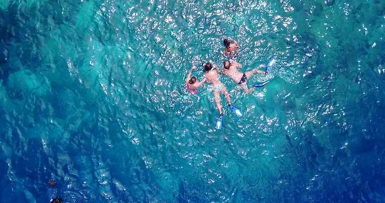 모래 바다 백그라운드 휴식 사람 여러명 초록색 물 흰색 다이빙 코코넛 4K MOV 해외동영상 클립영상 자연요소 컬러 다수 컨셉 과일 수영 동영상 수중스포츠 파일형식