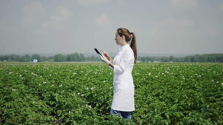 식물 직업 손 여자 과학 밭 농업 인터넷 비즈니스 통신 자연 모바일 노동자 한명 여름 농작물 컴퓨터 알약 농장 환경 디지털 장비 정보 수확 잡기 작업 실험실 농부 생명공학 과학자 분석 유기농 원예 전자 밭일 제어 4K MOV 해외동영상 클립영상 1 웰빙 계절 산업 컨셉 의학 모션 실험 사람 취미 신체부위 전자제품 약 생태계 동영상 학자 파일형식