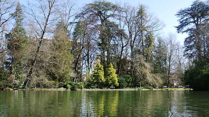 동물 호수 야생동물 자연 조류 오리 사람없음 야외 물 뷰티 반사 평화 환경 수영 봄 연못 깃털 부리 물새 내추럴 4K MP4 해외동영상 클립영상 자연요소 계절 컨셉 수상스포츠 생태계 동영상 파일형식