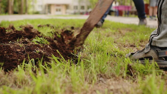 식물 공원 꽃 지구 장갑 꽃무늬 농업 자연 잔디 사람없음 야외 초록색 여름 농장 환경 정원 농사 흙 봄 장비 성장 공구 침대 업무 삽 준비 원예 조경 화단 먼지 땅바닥 땅파기 심기 원예사 MOV 해외동영상 클립영상 직업 잡화 계절 공공시설 산업 컬러 가구 무늬 모션 바닥 취미 도구 작업 생태계 동영상 파일형식