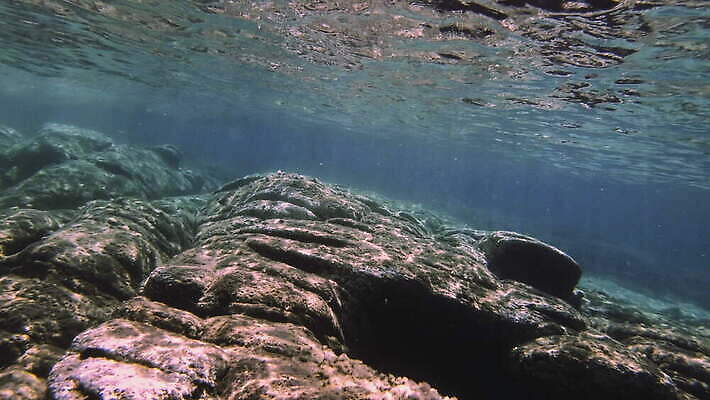 동물 야생동물 바다 컬러 여행 백그라운드 자연 멕시코 어류 사람없음 빨간색 물 여름 파란색 빛 햇빛 태양 뷰티 수중 수영 광선 동굴 산호 아래 사진사 생태계 다이빙 장면 암초 깊이 칸쿤 4K 수중영상 MOV 해외동영상 클립영상 자연요소 계절 북아메리카 수중동물 수상스포츠 자포동물 방향 작가 위치 동영상 수중스포츠 파일형식
