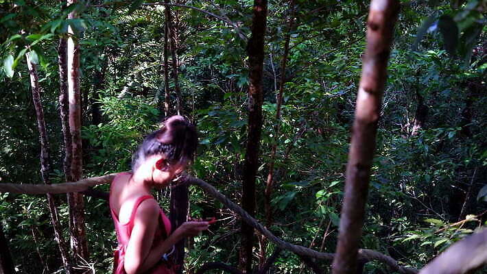 나무 식물 1 공원 아시아 길 여행 백그라운드 지도 가이드 태국 자연 한명 사람 동양인 야외 10대 초록색 스마트폰 여행객 걷기 계단 환경 정원 봄 하이킹 탐험 숲 나침반 열대우림 내추럴 GPS 깊이 백패커 삼림지대 혼자 항해사 4K MOV 해외동영상 클립영상 직업 계절 공공시설 나라 컬러 모션 청소년 레저 인종 핸드폰 스마트기기 생태계 동영상 파일형식