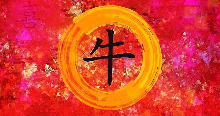 동물 포스터 백그라운드 컨셉 캘리그라피 벽지 추상 동양인 사람없음 빨간색 중국 페인트 수확 기록 그리기 고리 소 황금 예측 심볼 사인 질감 황소 점성술 동쪽 서명 그런지 마케팅 타격 춘절 4K MP4 해외동영상 클립영상 명절 아시아 컬러 무늬 농업 포유류 모션 인종 방향 중국전통 동영상 파일형식