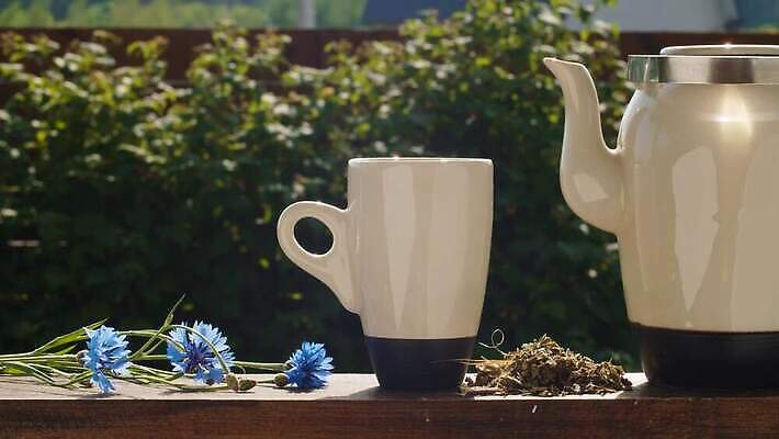 식물 전통 라이프스타일 계절 꽃 음료 자연 탁자 아침 휴식 건강 사람없음 야외 컵 초록색 흰색 신선 뜨거움 닫기 아침식사 냄비 찻주전자 허브 유기농 자연백그라운드 내추럴 수레국화 정물화 4K MOV 해외동영상 클립영상 주간 식기 웰빙 컬러 가구 백그라운드 컨셉 모션 주전자 생활 식사 솥 그림 생태계 동영상 파일형식