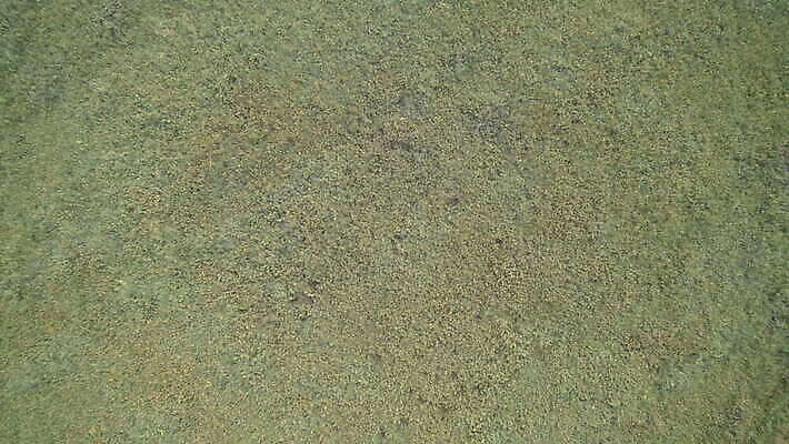 식물 공원 꽃 종이 모래 벽 백그라운드 이동 패턴 자연 벽지 표면 바람 추상 바닥 초원 사람없음 초록색 물 파란색 하이앵글 회색 바위 거친 아스팔트 천 허브 질감 항공촬영 그런지 옛날 콘크리트 화강암 4K MOV 해외동영상 클립영상 자연요소 공공시설 도로 뷰포인트 컬러 컨셉 무늬 날씨 암석 돌_바위 직물 생태계 동영상 파일형식