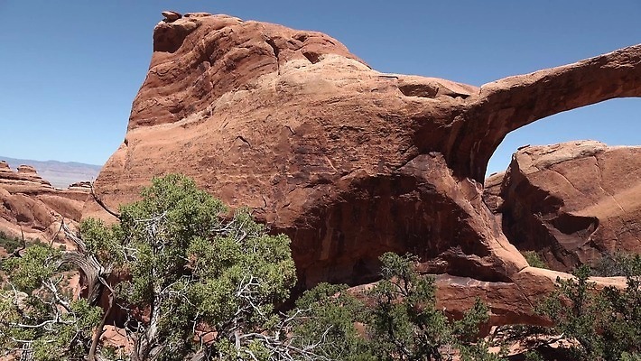 식물 공원 여행 자연 산 건조 국립공원 풍경 사람없음 야외 빨간색 파란색 햇빛 미국 사막 바위 부식 아치 사암 내추럴 더블 전국 지질학 4K MP4 해외동영상 클립영상 공공시설 교육 컬러 북아메리카 태양 돌_바위 생태계 동영상 파일형식