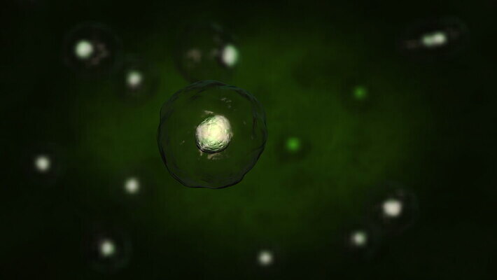 디자인 컬러 과학 백그라운드 신체 추상 생물 세포 건강 현미경 사람 사람없음 그래픽 파란색 약 3D 어둠 흐름 얼룩 원형 혈액 바이러스 떨어짐 질병 생물학 종이접기 만들기 미생물 기하학 암 박테리아 동맥 여의주 유전 4K MOV 해외동영상 클립영상 도형 교육 종이 컨셉 무늬 의학 모션 실험기구 디지털합성 혈관 동영상 접기 파일형식