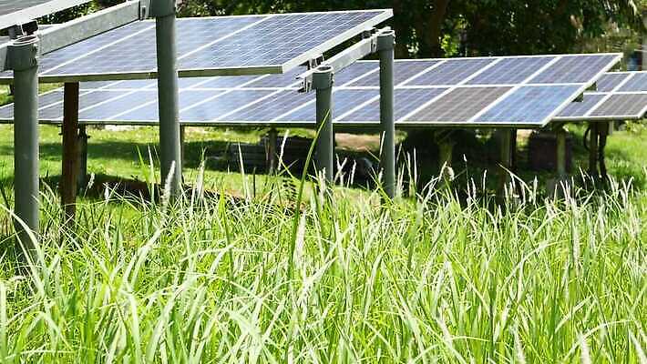 주간 산업 지구 과학 밭 비즈니스 미래 세포 잔디 초원 사람없음 초록색 글로벌 태양 반사 환경 맑음 힘 재활용 장비 발전기 에너지 시골 판넬 역 보호 에코 생태계 순환 시스템 혁명 무료 복잡 생태학 줄서기 공급 획기적 4K MP4 해외동영상 클립영상 자연요소 식물 교육 컬러 컨셉 농업 교통시설 모션 날씨 발전소 친환경 동영상 파일형식