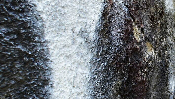 디자인 벽 컬러 백그라운드 추상 벽돌 미술 사람없음 건물 빨간색 초록색 컬러풀 뷰티 검은색 어둠 페인트 손상 벚꽃 붓 얼룩 그리기 닫기 질감 시멘트 덮기 층 제비 그런지 방치 석고 콘크리트 MOV 해외동영상 클립영상 건축물 꽃 컨셉 무늬 모션 조류 문화예술 동영상 파일형식