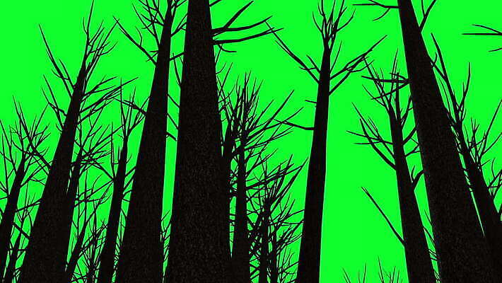 나무 실루엣 자연 날씨 골격 사람없음 목재 지구본 3D 환경 어둠 과학기술 죽음 업무 고독 숲 신비 무서움 생물학 만들기 공상 지구온난화 활기 애니메이션 나쁜 고립 벌거벗은 복잡 비극 옛날 우울증 재앙 지옥 호러 노화 디테일 MOV 해외동영상 클립영상 식물 교육 감정 컨셉 재료 모션 기술 촬영기법 작업 질병 디지털합성 생태계 공포 동영상 기후변화 파일형식