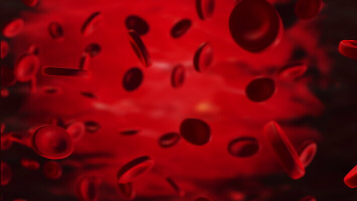 과학 백그라운드 신체 해부 자연 생물 세포 건강 병원 사람 사람없음 빨간색 약 3D 흐름 의사 개울 혈액 바이러스 질병 DNA 시원함 생물학 미생물 염색체 애니메이션 암 동맥 정맥 전염병 코로나바이러스 4K MOV 해외동영상 클립영상 교육 컬러 컨셉 의학 강 의료진 생명공학 디지털합성 생태계 혈관 동영상 파일형식