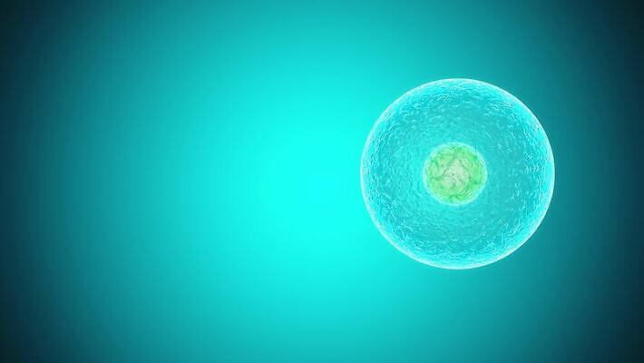 과학 미래 세포 엑스레이 나선형 건강 사람 사람없음 치료 약 디지털 망 혈액 진화 바이러스 질병 생명공학 생물학 회전 감염 미생물 염색체 암 물리학 복제 엘리먼트 유전 폴리곤 4K MP4 해외동영상 클립영상 교육 컨셉 무늬 의학 생물 소방 동영상 물리 파일형식