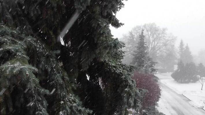 나무 디자인 별 백그라운드 크리스마스 겨울 패턴 자연 날씨 휴가 새로움 산 미술 사람없음 야외 목재 태양 크리스마스트리 냉동 얼음 일몰 추위 수확 흰색 소나무 눈송이 황무지 떨어짐 숲 12월 질감 복고 서리 장면 상록수 전나무 내추럴 그런지 폭설 눈내림 가문비나무 국경 4K MOV 해외동영상 클립영상 자연요소 식물 계절 기념일 컬러 컨셉 무늬 농업 재료 문화예술 눈_날씨 노을 날짜 자연재해 생태계 동영상 파일형식