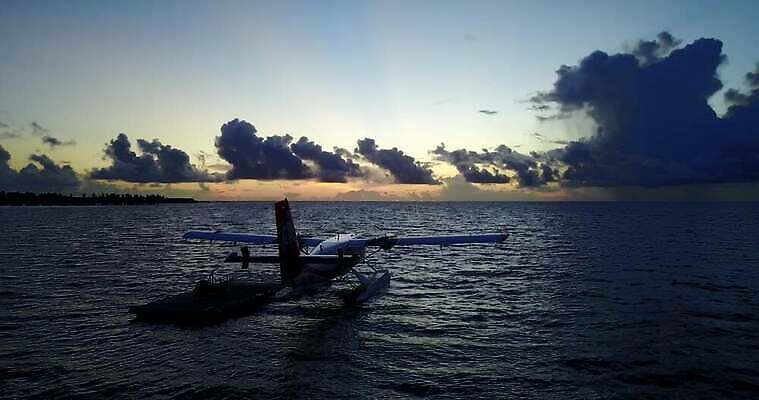 모래 섬 백그라운드 하늘 따뜻함 사랑 어류 사람없음 여행객 맑음 흰색 다이빙 4K MOV 해외동영상 클립영상 감정 컬러 날씨 사람 수영 수중동물 동영상 수중스포츠 파일형식