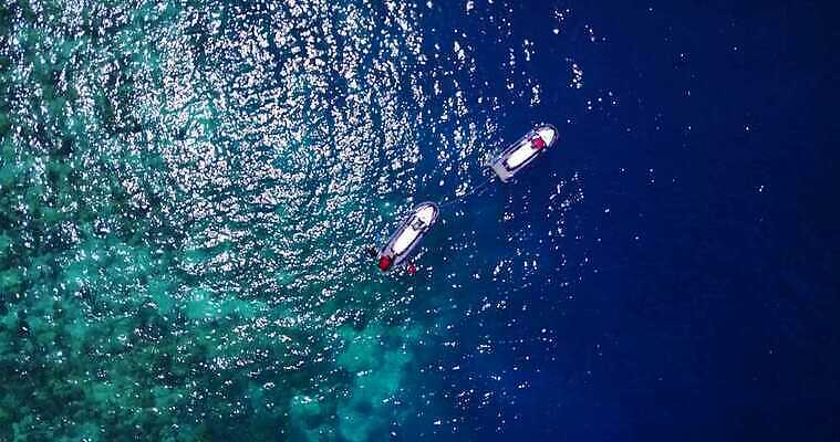 모래 백그라운드 휴가 함께함 어류 해변 사람없음 초록색 수영 흰색 이국적 파라다이스 4K MOV 해외동영상 클립영상 바다 컬러 컨셉 수중동물 수상스포츠 동영상 파일형식