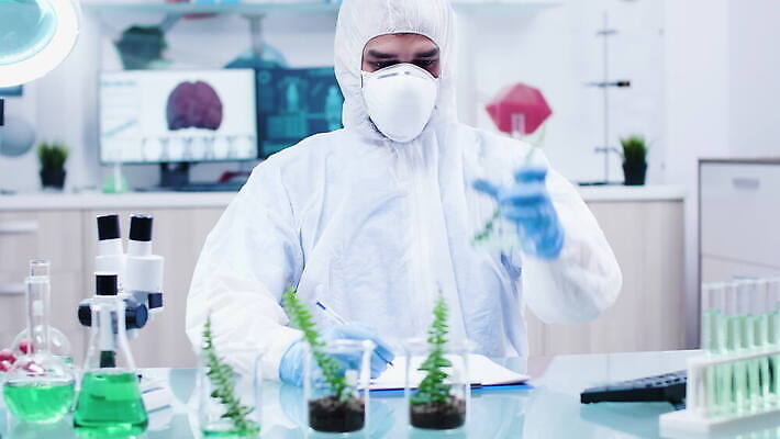 식물 직업 1 교육 산업 과학 잎 자연 노동자 현미경 실험 작업복 가면 사람 사람없음 초록색 장비 시험 성장 흰색 작업 실험실 보호 생명공학 연구원 과학자 확인 대학교 생물학 공학 내추럴 묘목 유전 유전자변형 4K MOV 해외동영상 클립영상 나무 옷 컬러 컨셉 의학 학교 실험기구 생태계 동영상 학자 파일형식