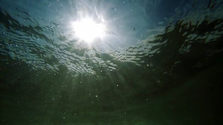 파도 바다 여행 백그라운드 모션 자연 통 사람없음 물 여름 파란색 뷰티 수중 에너지 전원 액체 급류 큼 브레이크 아래 하와이 암초 튜브 느림 파라다이스 환각 힘찬 HD 수중영상 MP4 해외동영상 슬로모션 클립영상 자연요소 계절 컬러 컨셉 촬영기법 미국 전기에너지 크기 방향 생태계 위치 동영상 증상 파일형식