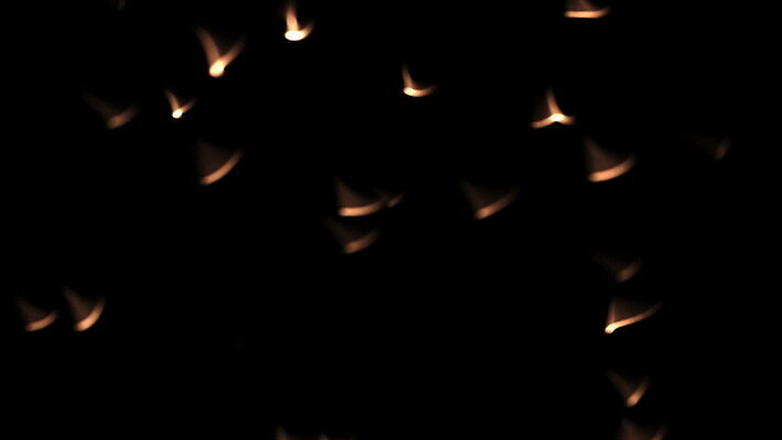 디자인 컬러 백그라운드 컨셉 추상 미래 세포 미술 사람없음 그래픽 파란색 빛 컬러풀 디지털 검은색 어둠 거품 흐름 소프트포커스 유기농 질감 공상 애니메이션 최면 특별함 핸드메이드 호러 혼란 생존 광학 오싹 유체 MOV 해외동영상 클립영상 웰빙 무늬 문화예술 촬영기법 공포 동영상 파일형식