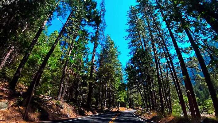 나무 접시 공원 도로 여행 교통시설 자동차 자연 하늘 휴가 산 거리 국립공원 풍경 사람없음 야외 초록색 여름 파란색 계곡 맑음 미국 놀람 하이킹 운전 도시 고속도로 숲 아스팔트 캘리포니아 내추럴 굴곡 루트 요세미티국립공원 전국 MOV 해외동영상 클립영상 식물 식기 계절 공공시설 감정 길 육상교통 컬러 교통 북아메리카 모션 레저 날씨 표정 시설 생태계 동영상 파일형식