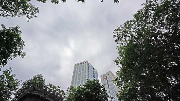 나무 계절 공원 유럽 여행 백그라운드 잎 비즈니스 건축양식 교통시설 자연 하늘 독일 풍경 사람없음 야외 건물 초록색 여름 환경 탑 정원 고층빌딩 가을 시골 도시 숲 메인 스카이라인 내추럴 랜드마크 프랑크푸르트 4K MOV 해외동영상 클립영상 식물 건축물 공공시설 건축 나라 컬러 교통 빌딩 시설 생태계 동영상 파일형식