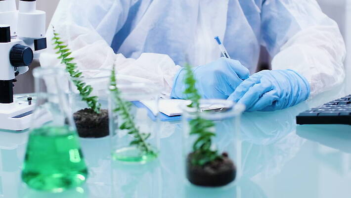 식물 직업 1 교육 산업 과학 잎 자연 노동자 현미경 실험 작업복 가면 사람 사람없음 초록색 장비 시험 성장 흰색 작업 실험실 보호 생명공학 연구원 과학자 확인 대학교 생물학 공학 내추럴 묘목 유전 유전자변형 4K MOV 해외동영상 클립영상 나무 옷 컬러 컨셉 의학 학교 실험기구 생태계 동영상 학자 파일형식