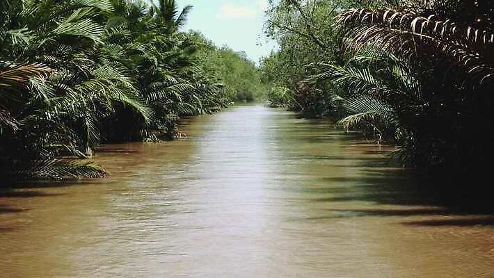 식물 전통 아시아 여행 밭 동양인 사람없음 초록색 강 시골 도시 보트 시장 숲 생태계 문서 베트남 남쪽 메콩강 4K MOV 해외동영상 클립영상 나라 컬러 농업 배_교통 인종 동남아시아 방향 동영상 파일형식