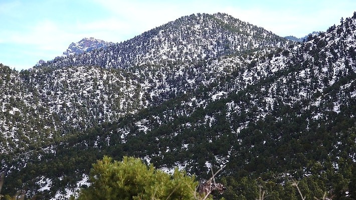 식물 여행 백그라운드 겨울 자연 하늘 날씨 산 선인장 파노라마 풍경 사람없음 야외 초록색 파란색 미국 하이킹 사막 추위 흰색 황무지 숲 서리 애리조나 폭설 눈내림 4K MP4 해외동영상 클립영상 계절 컬러 북아메리카 레저 눈_날씨 촬영기법 자연재해 생태계 동영상 파일형식