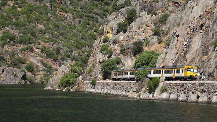 유럽 여행 모션 자연 사람없음 야외 옆모습 초록색 골짜기 계곡 기차 시골 크루즈 포르투갈 언덕 포도나무 마차 계단식 추적 도루강 선로 양조장 4K MOV 해외동영상 클립영상 나라 육상교통 교통수단 뷰포인트 컬러 배_교통 대중교통 과일나무 생태계 동영상 파일형식