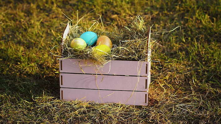 전통 계절 음식 컬러 백그라운드 컨셉 재료 자연 휴가 건강 사람없음 목재 장식 상자 컬러풀 농장 바구니 치킨 페인트 봄 시골 축하 신선 그룹 둥지 볏짚 컨테이너 4월 먹기 심볼 유기농 부활절계란 애니메이션 밀짚 내추럴 메추리 많음 4K MOV 해외동영상 클립영상 나무 웰빙 산업 농업 모션 부활절 계란 날짜 짚 생태계 동영상 닭고기요리 파일형식