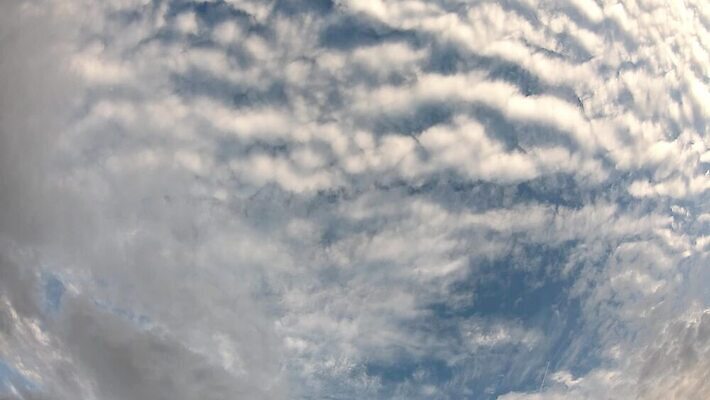 컬러 백그라운드 자연 하늘 날씨 사람없음 야외 초록색 파란색 빛 컬러풀 햇빛 태양 우주 맑음 검은색 어둠 새벽 회색 수확 흰색 분위기 야간 저녁 장면 흐림 내추럴 그런지 뇌우 수평선 MOV 해외동영상 클립영상 자연요소 컨셉 농업 생태계 동영상 파일형식