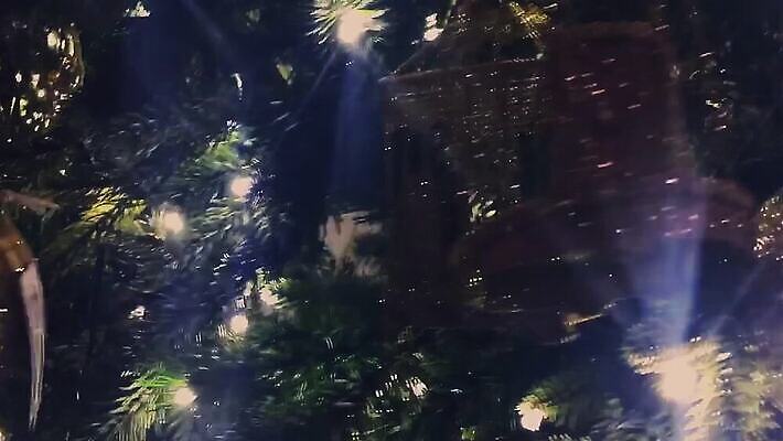 나무 외관 유럽 여행 크리스마스 건축양식 창문 교통시설 호텔 휴가 거리 사람없음 건물 장식 쇼핑 여행객 상점 식당 도시 역사 고급 도심 벨기에 타운 대도시 일반 구시가지 랜드마크 부티크 브뤼셀 유럽연합 전국 MOV 해외동영상 클립영상 식물 건축물 기념일 건축 나라 교통 컨셉 숙소 사람 시설 동영상 서유럽 파일형식