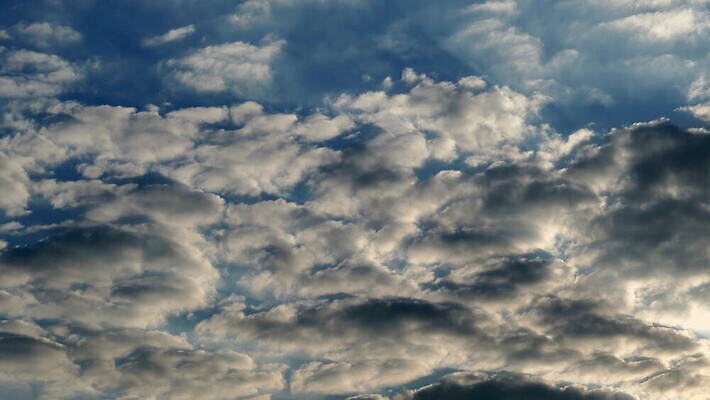 로우앵글 자연 하늘 날씨 사람없음 야외 룩셈부르크 4K 락다운 MOV 해외동영상 클립영상 뷰포인트 생태계 동영상 서유럽 파일형식