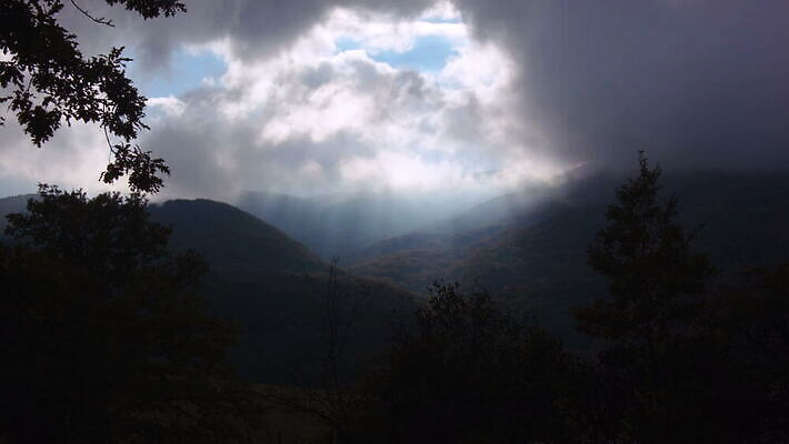식물 모션 자연 하늘 바람 날씨 옥수수 사람없음 야외 초록색 햇빛 시골 낟알 땅 내추럴 HD MOV 해외동영상 클립영상 자연요소 컬러 곡류 태양 생태계 동영상 파일형식